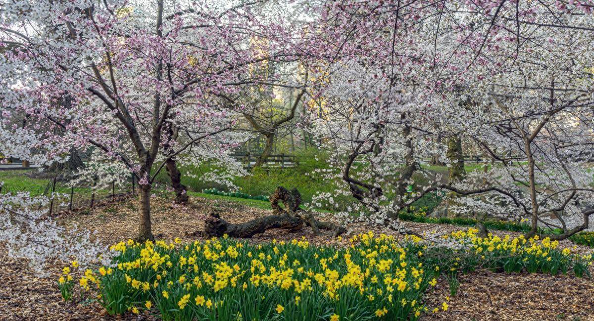 原创春补钾身不乏建议常吃这5样赶走春乏生龙活虎过春天