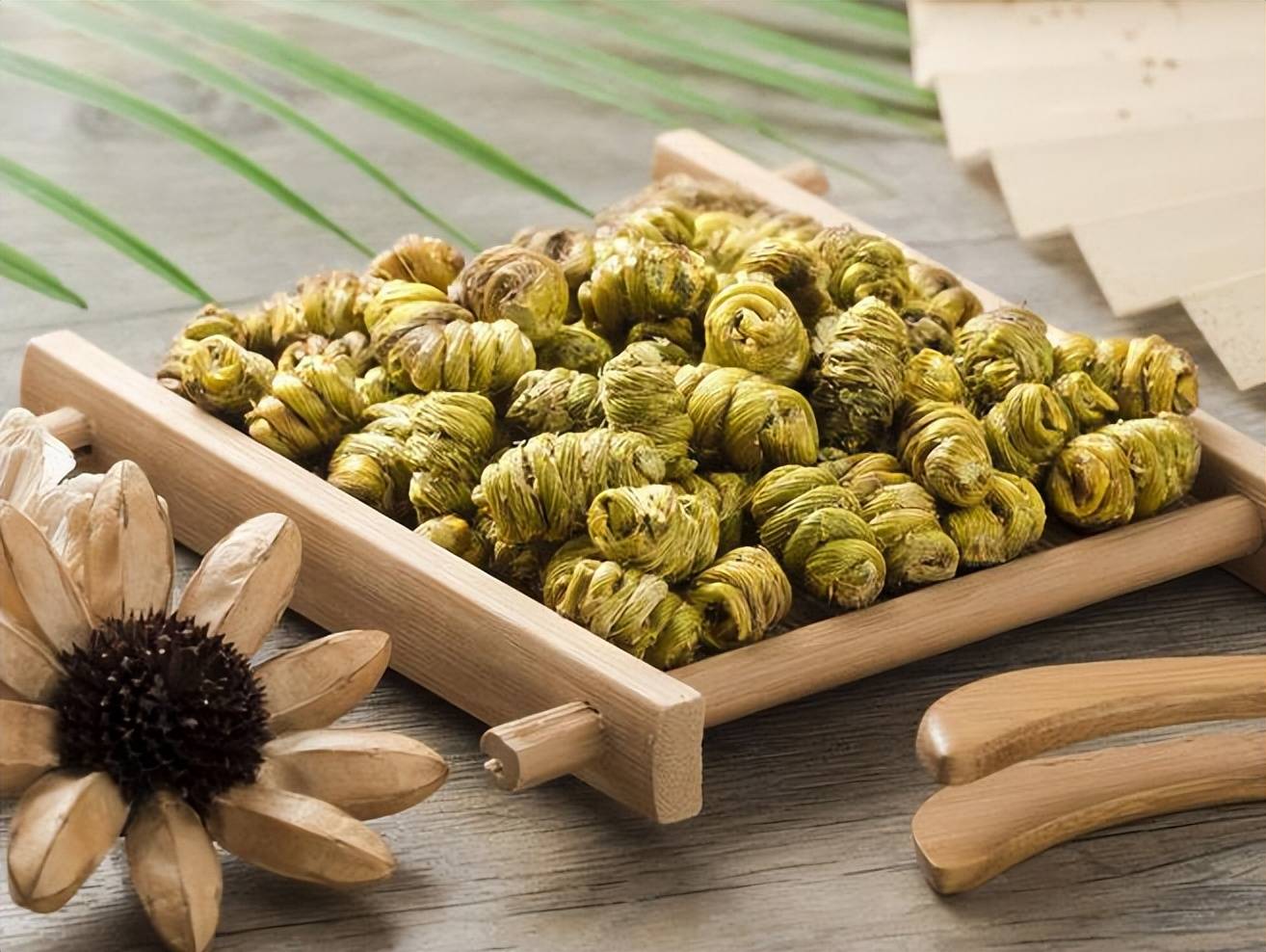 石斛的作用与功能主治,先收藏慢慢看!_铁皮_环境_压力