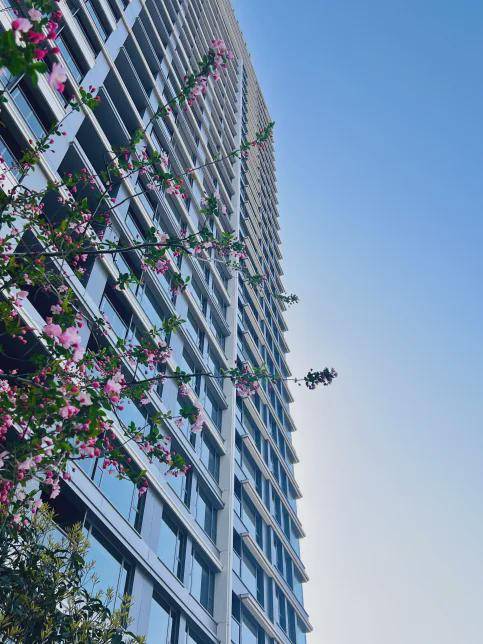 上海悦徕国际公寓图片