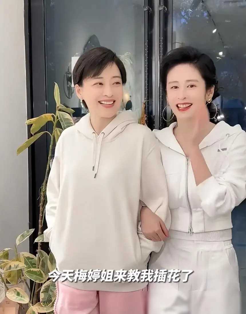 梅婷短发变年轻长发显老气与颖儿同龄像