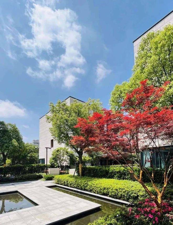 上海闵行『龙湖天钜』地铁口现房联排别墅!_中心_商业_配套