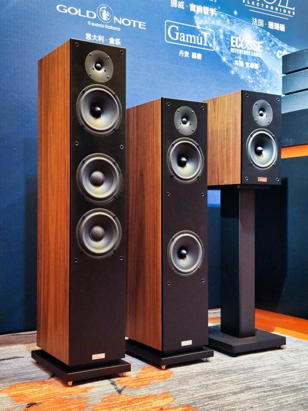 平易近人的芬兰箱评芬兰penaudioambienttwo音箱