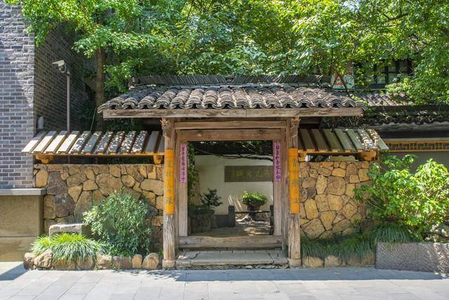 有道理吗_杨荣_植物_爷爷