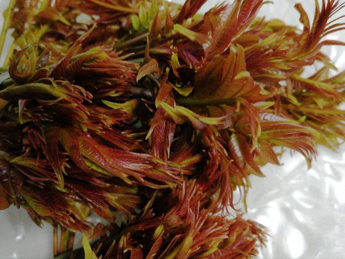 腌香椿时,最忌直接放盐,记住"多做1步,多加1样",放一年不坏