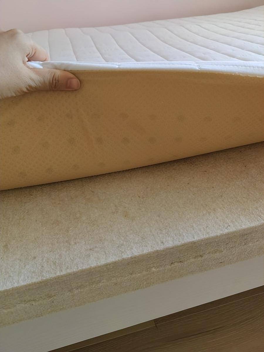 苏老伯黄麻床垫德国工艺品质选择