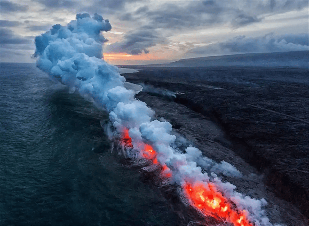 原创把火山当游泳池地球上最耐热的动物连科学家都想不明白