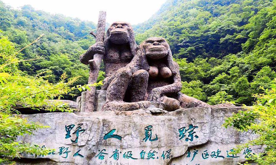 湖北一景区发生"宰客事件",本地特产翻四倍卖,游客大呼上当了_神农架