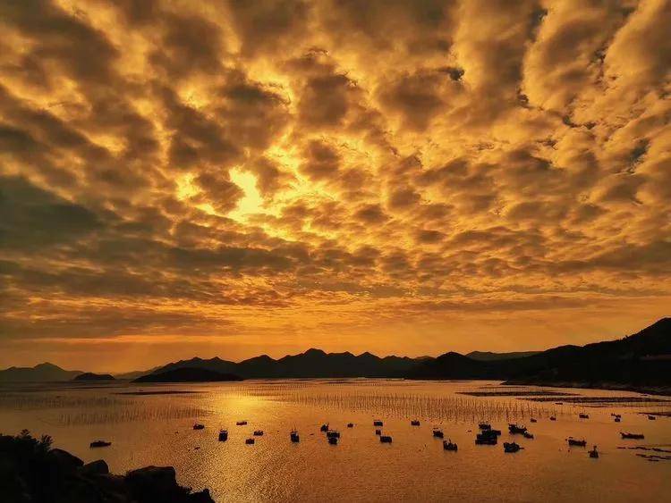 北兜—沙江s湾—飘网—小皓(住宿霞浦精品三星酒店:含三餐:门票,模特6