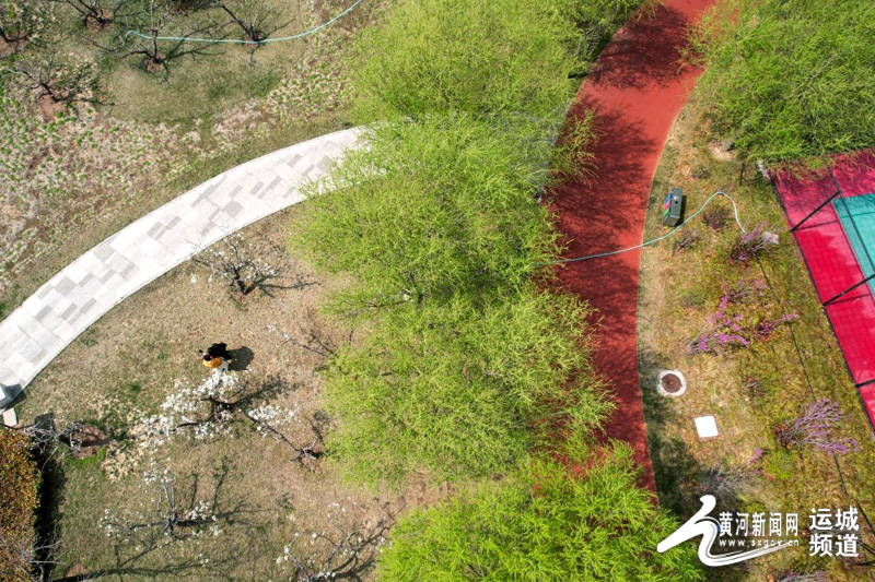 南山公园春烂漫 花繁叶茂春意闹_运城_市民_设施