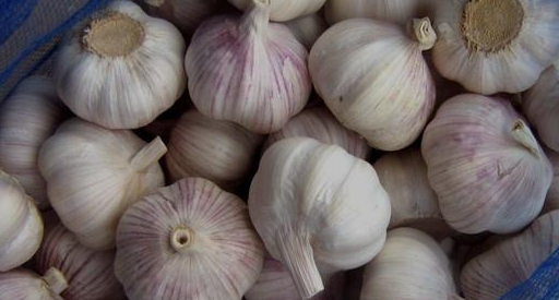 治疗咳嗽最有效的方法,4大妙方让你立即止咳_功效_贝母_生姜