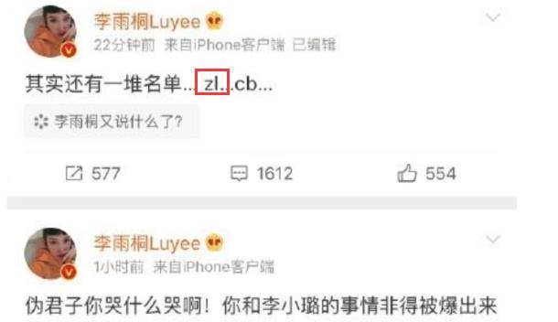 出圈的张俪,被坏男人们伤过后,事业走向下坡路_王阳明_恋情_朱镇模