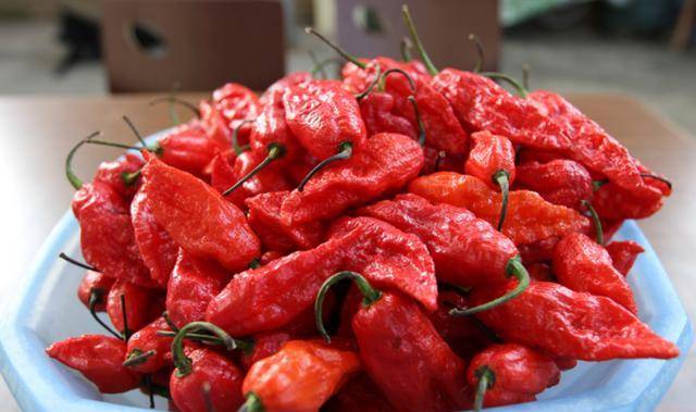 原创河南辣王李永志一天吃5斤辣椒不听劝阻的他现状如何