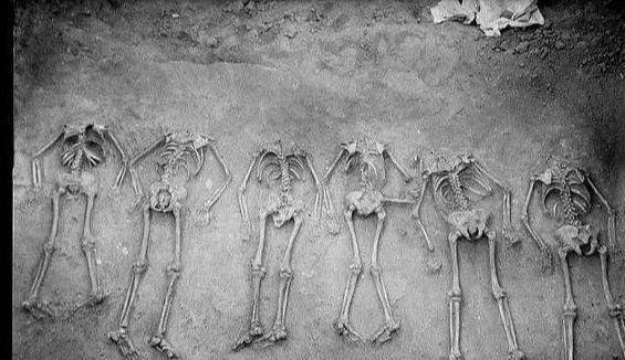 原创活人被做成肉酱肉干几百个坑内掩埋着几千具尸骸这是怎么了