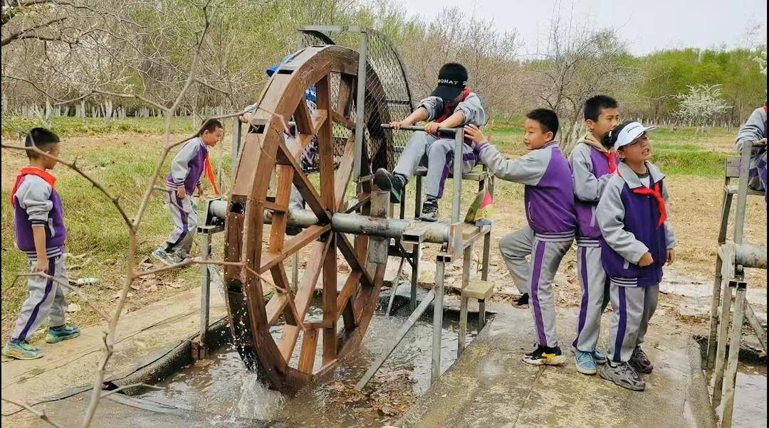 银川文旅集团61鸣翠湖春季鸣翠湿地研学热行走在文化与自然之间的