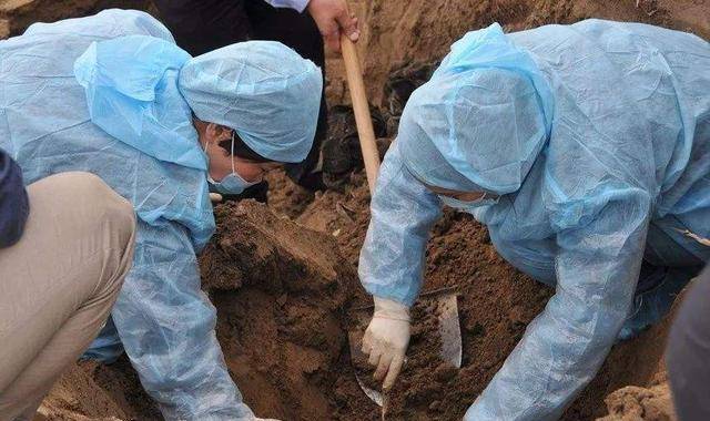 当法医们站在尸体附近的时候,一些蛆虫甚至会沿着人的脚踝爬到人的