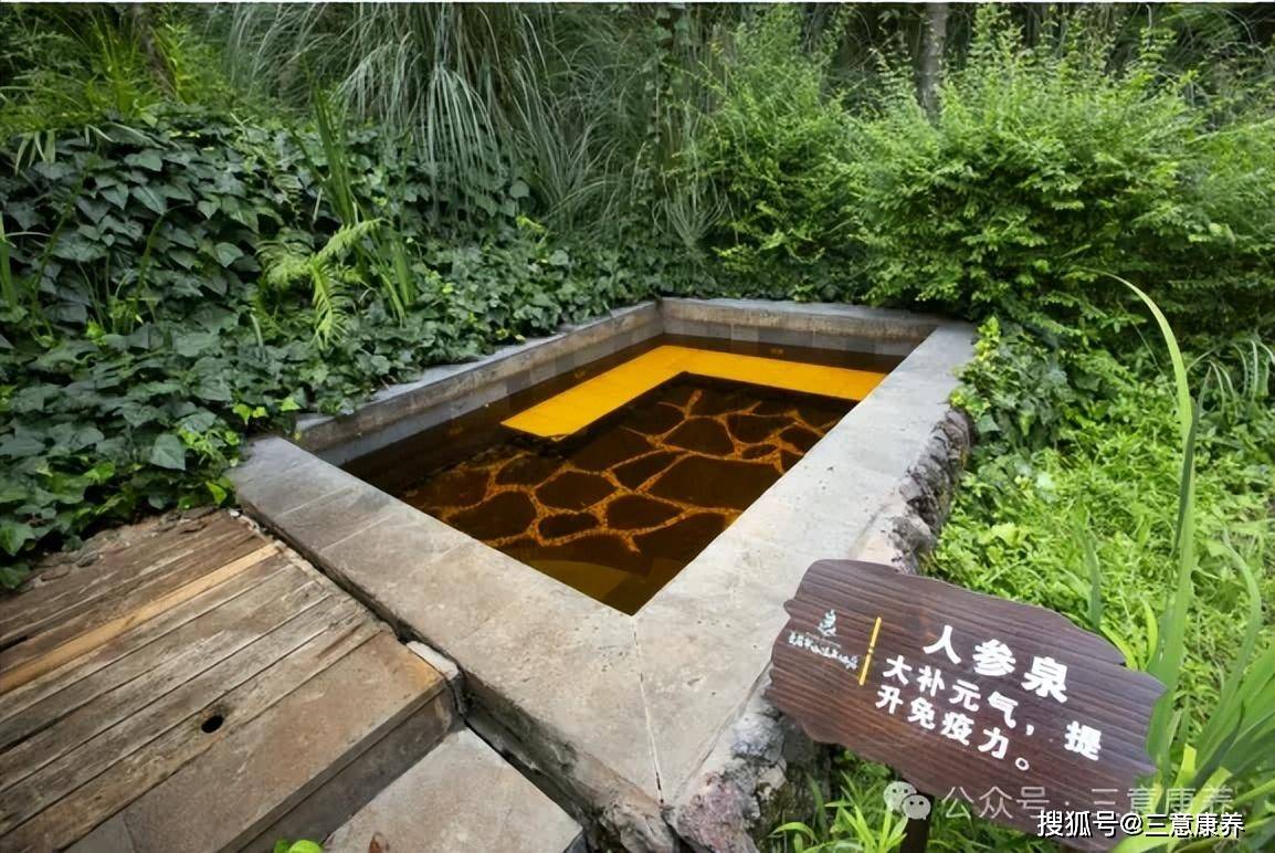 珍稀医疗级地热矿泉水保护和修复细胞都起着很大的作用抗氧化延缓衰老