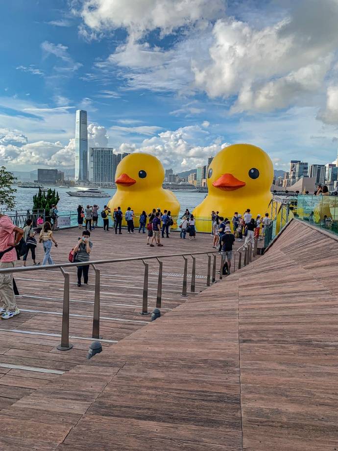 去港澳旅游怎么找当地导游海洋公园5日游导游多少钱