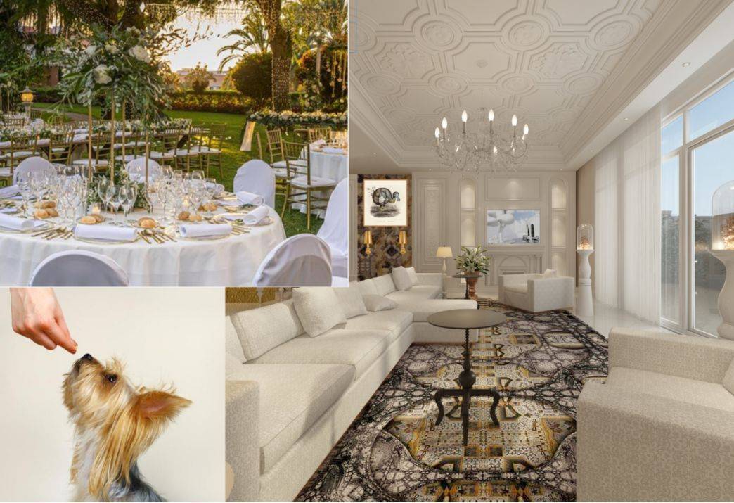 全球知名酒店的照片酒店酒店设计公司设计师