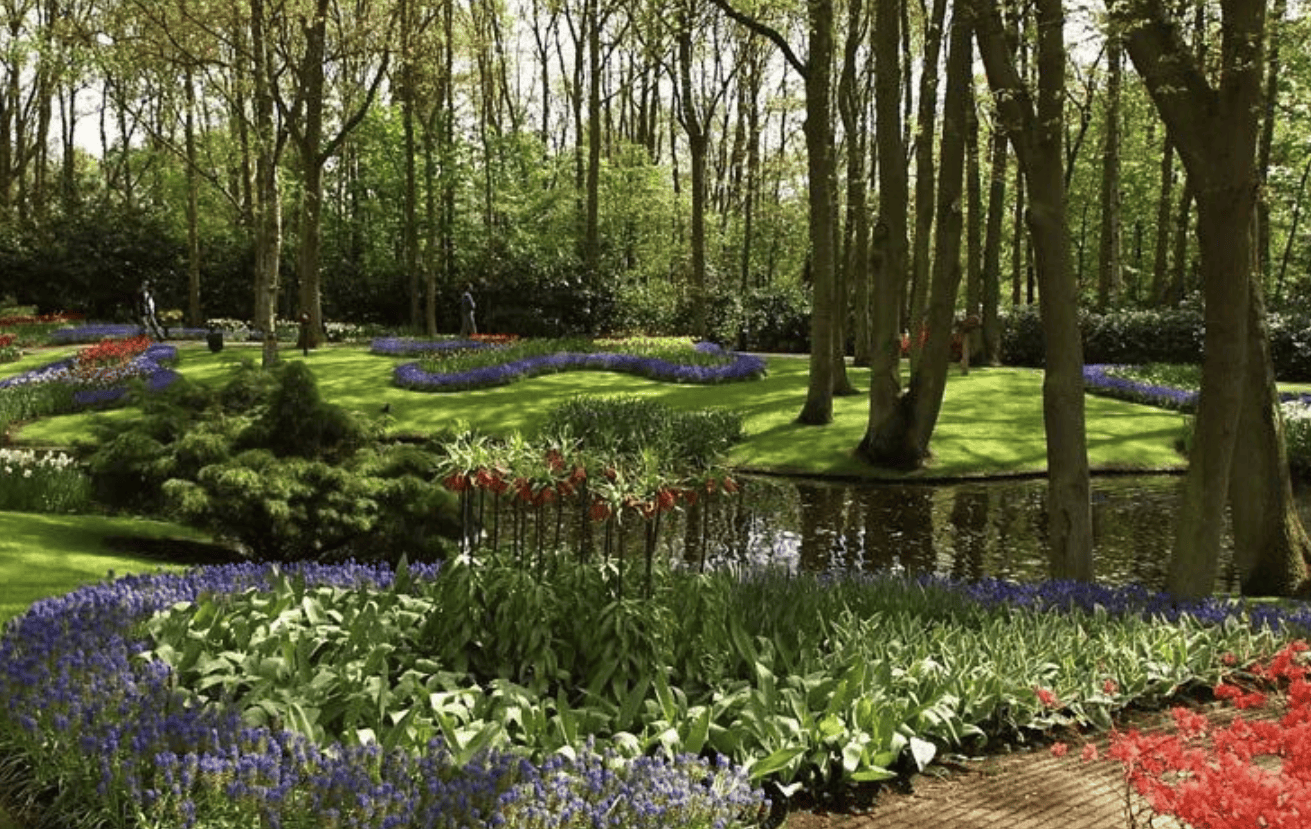 山东花境设计服务课堂五维园林是如何打造的