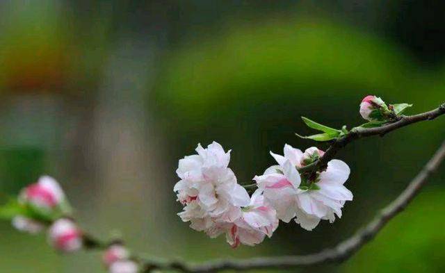 03江河的春天,在于奔流不息一条小溪遇见了顽石,想要冲过去,努力多次