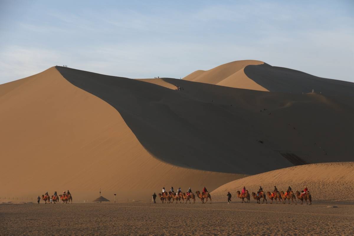敦煌一日游480元天天发团