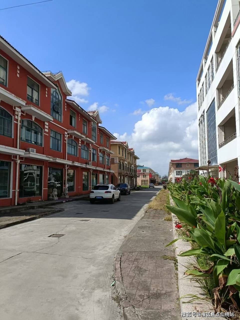 首批列入非物质文化遗产保护的"金山农民画"村生态休闲园的必经之路