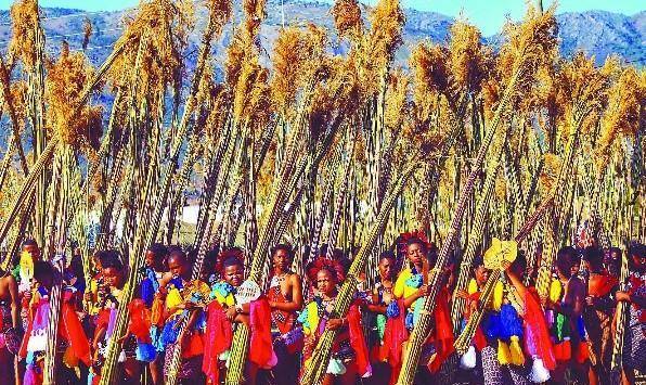 原创好色的非洲国王8成人口吃不饱饭他花1600万给15位妻子买豪车