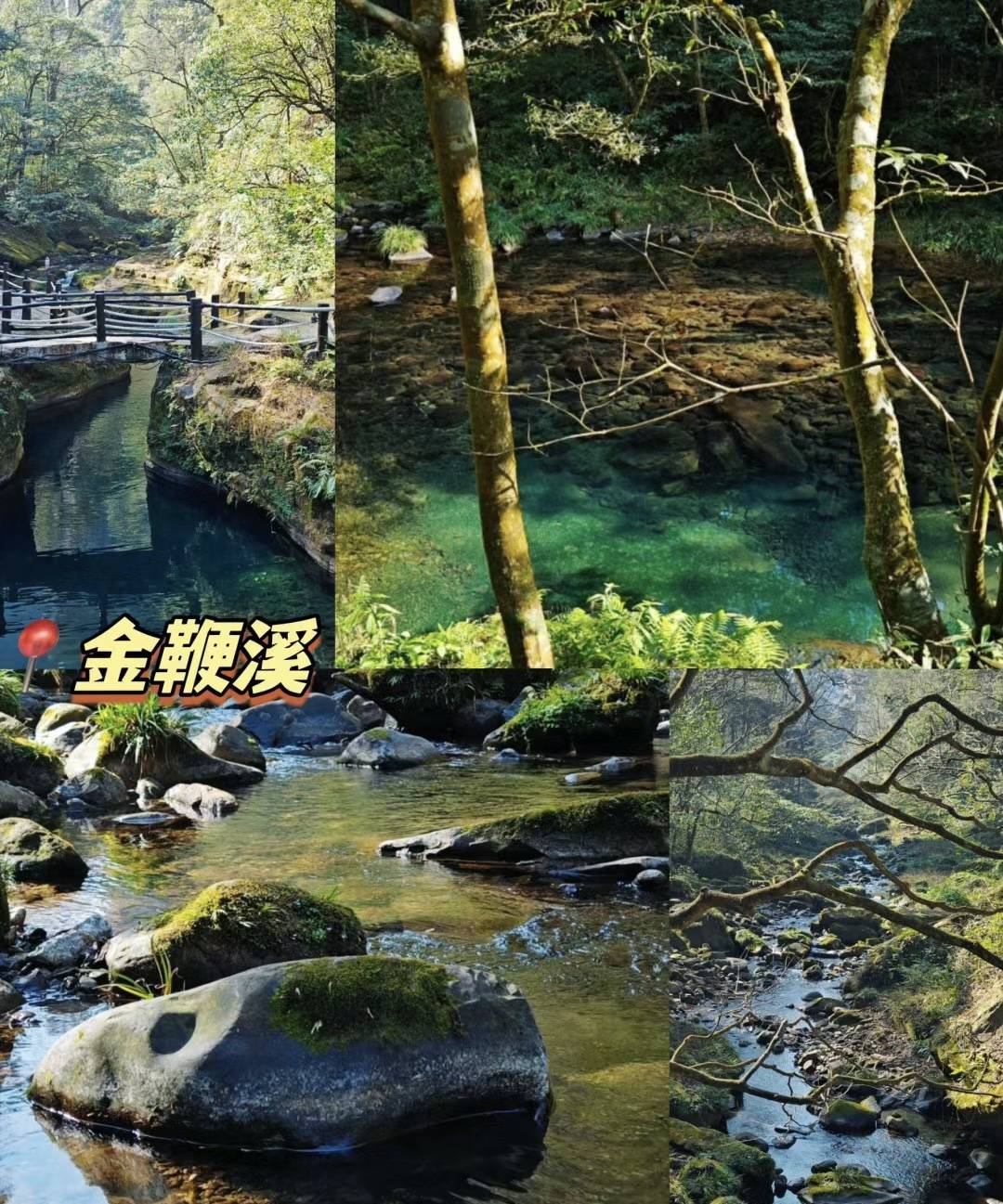 张家界跟团旅游五天四晚如何安排行程比较推荐张家界跟