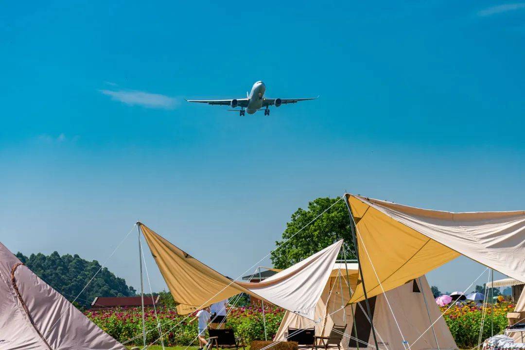 精彩回顾拉美媒体代表团到访双流空港花田双流很nice