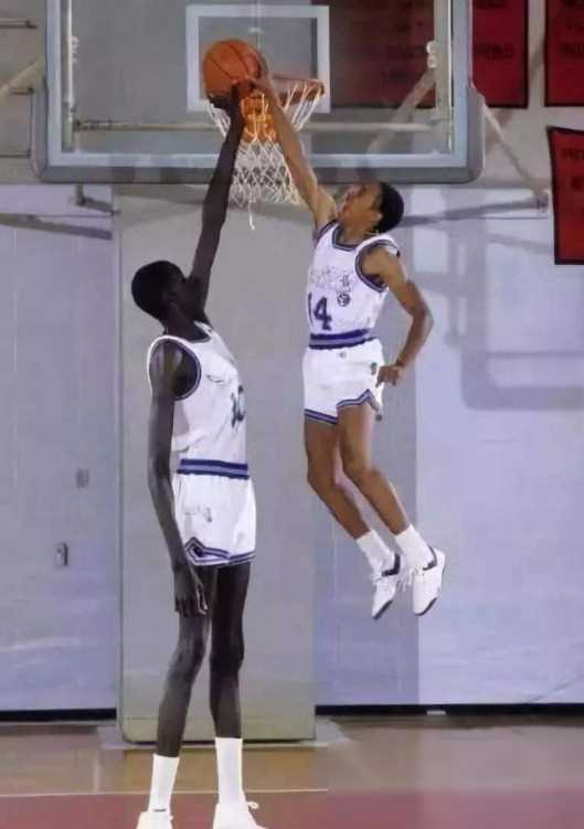 小前锋——杜兰特 身高2米08 臂展2米24麦克海尔的臂展也是相当夸张的