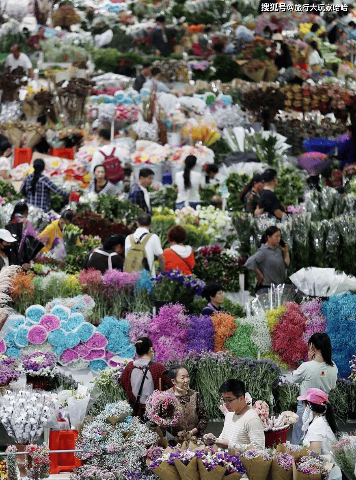 云南自由行旅游线路攻略,云南六天游玩值得玩的景点推荐_昆明_丽江