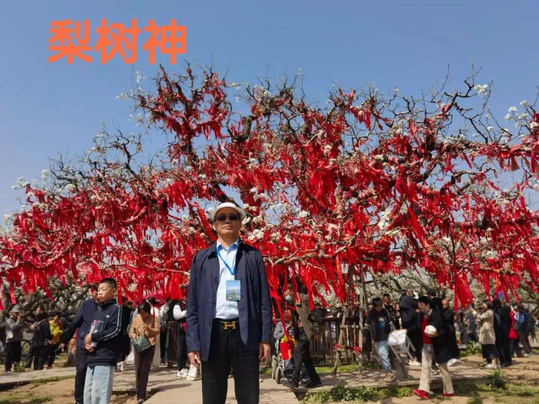 2024云帆彭城之春诗词名家笔会段兴朝卷