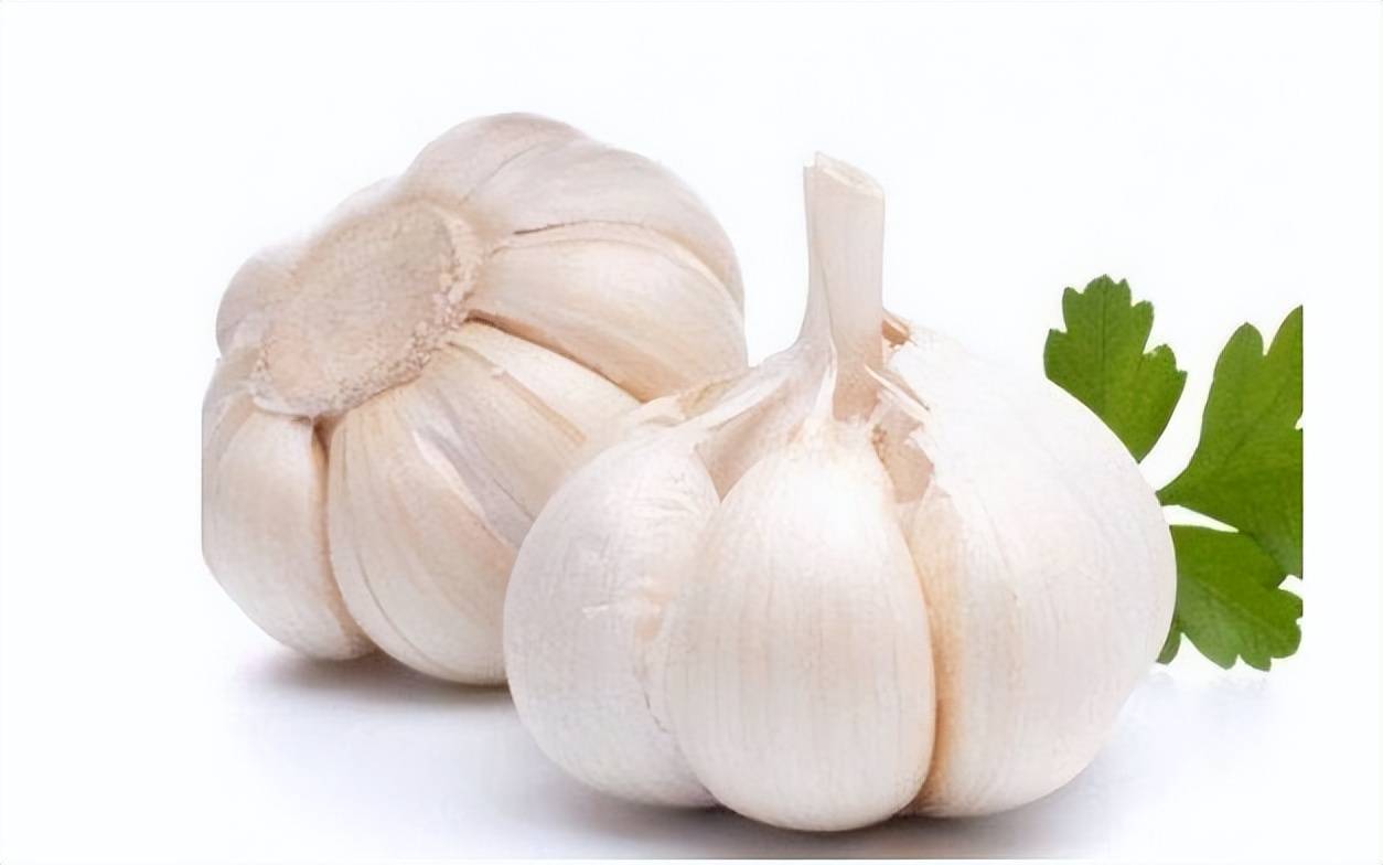 你绝对想不到的宝藏食物_沙棘_原浆_果实