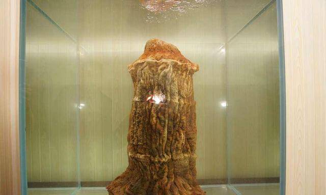 原创民间传说的太岁到底是什么东西其实无非就是一种中草药