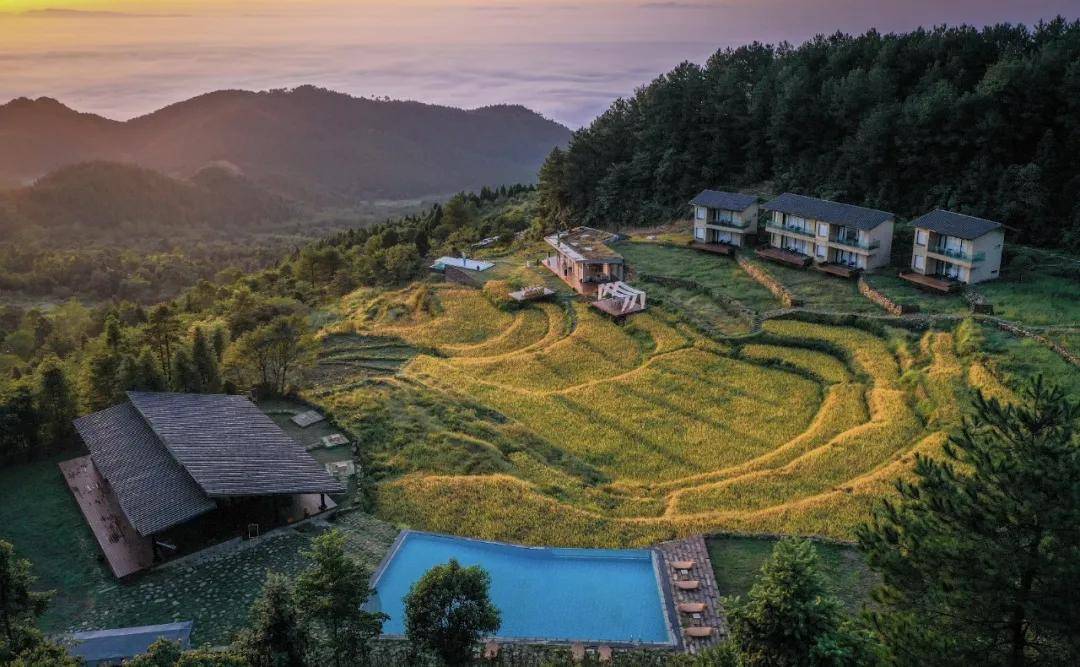 莫干山_张重庆_度假村