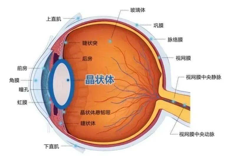 【晋中爱尔眼科医院】视网膜脱离严重吗?会失明吗?