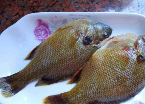 1,太阳鱼太阳鱼属于淡水鱼,肉质鲜美,营养丰富,含大量粗蛋白,粗脂肪