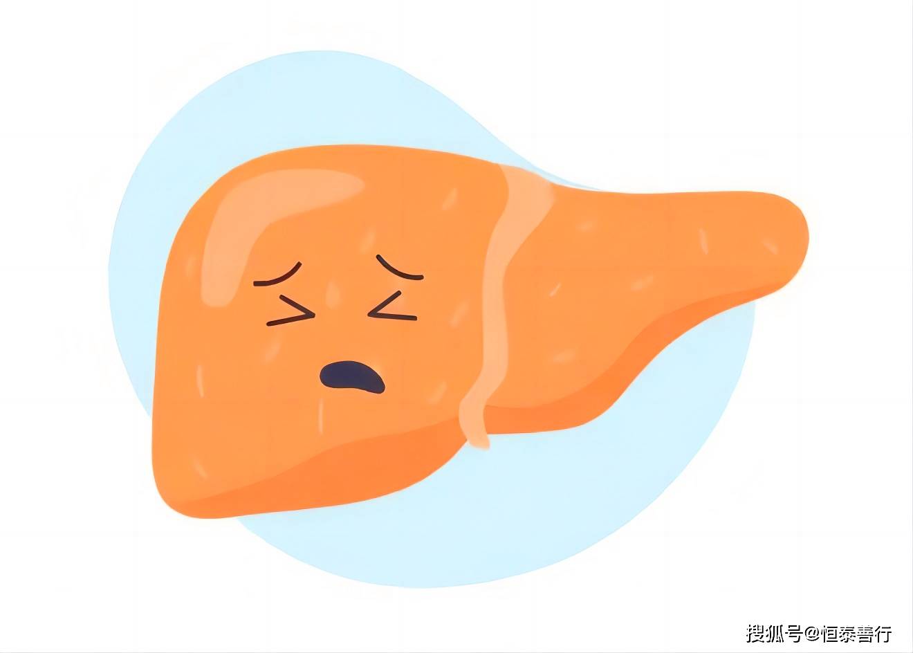 益生菌对脂肪肝有辅助治疗的作用