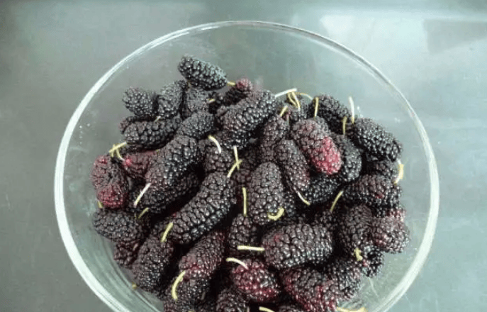 桑葚原浆哪个牌子的好用又便宜你真的了解吗快点赞收藏吧