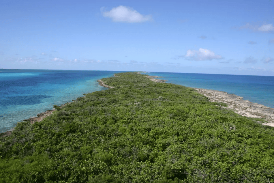 0095pimlicoislands加勒比海的狭长岛群