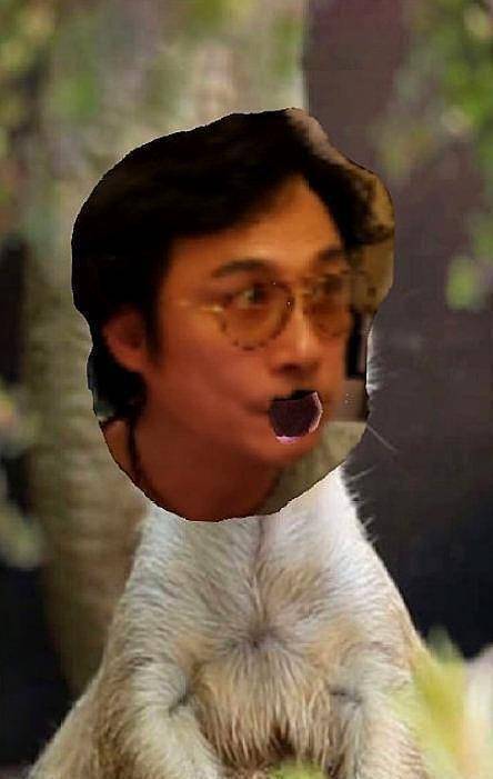 玩坏爸爸吴镇宇头像,遭网友们调侃作业太少_照片_动物_小男孩