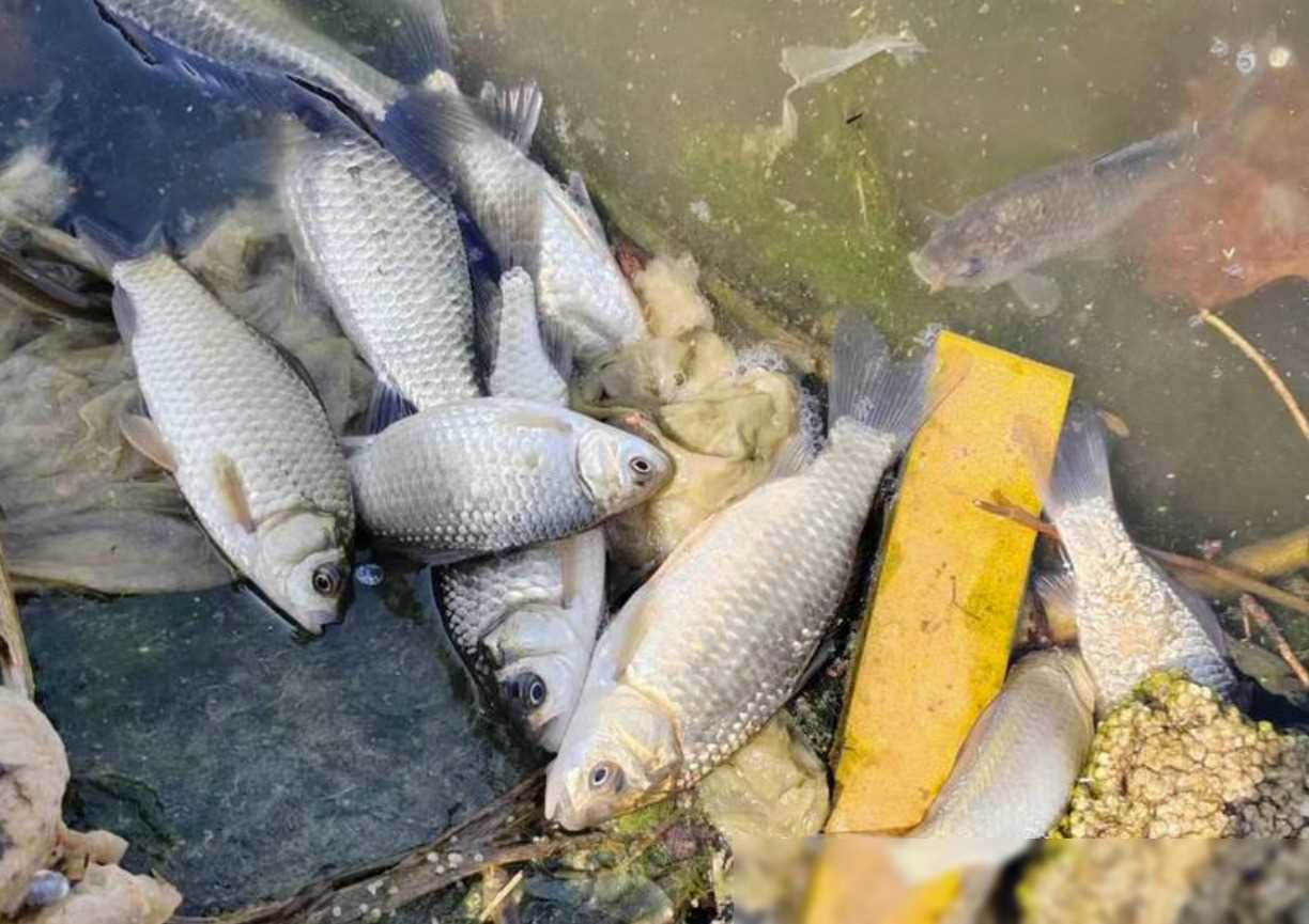 一种情况是鱼线粗细相差不大,例如从1.2号换成1.