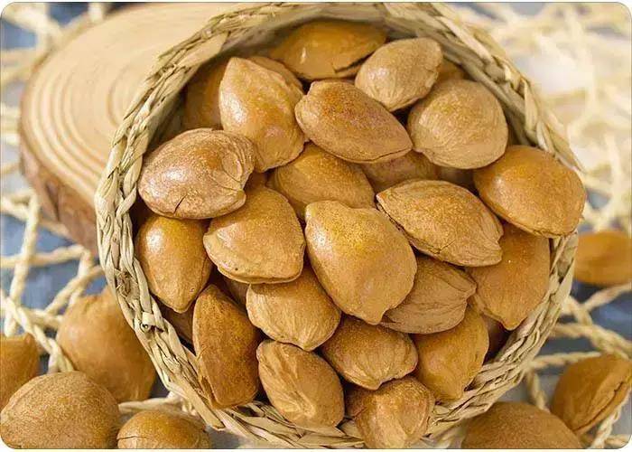 史上最强的新疆干果大全来了果断收藏