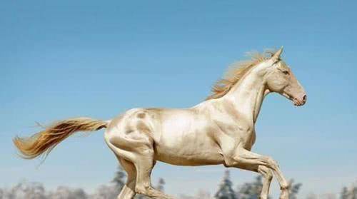 原创帖木儿去世之后其子担心明朝报复哭道把我爹的战马送给朱棣