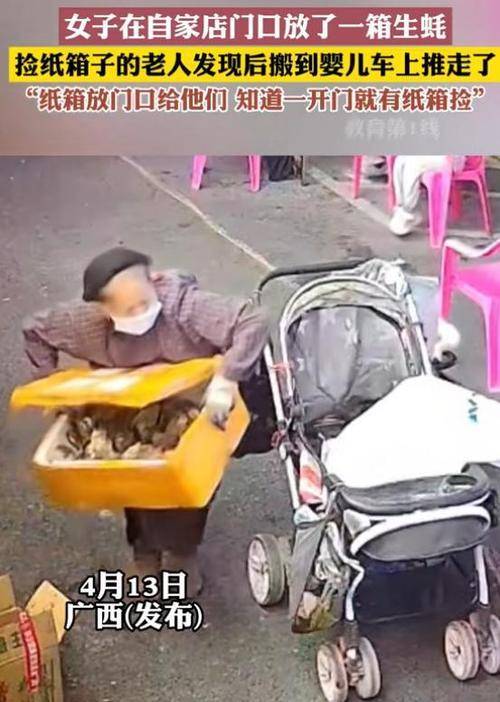 广西老人误将30斤生蚝当废品搬走，店主表示无语又生气！