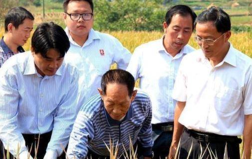 提起袁隆平我们都知道的他是中国杂交水稻育种专家,中国研究与发展