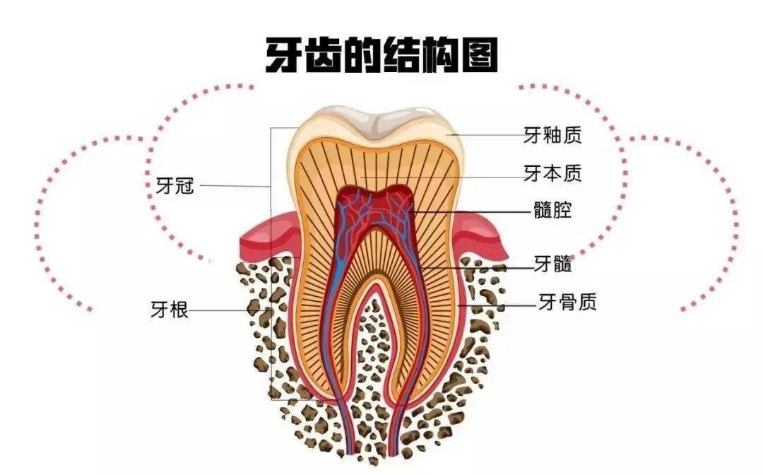 真的有必要吗?