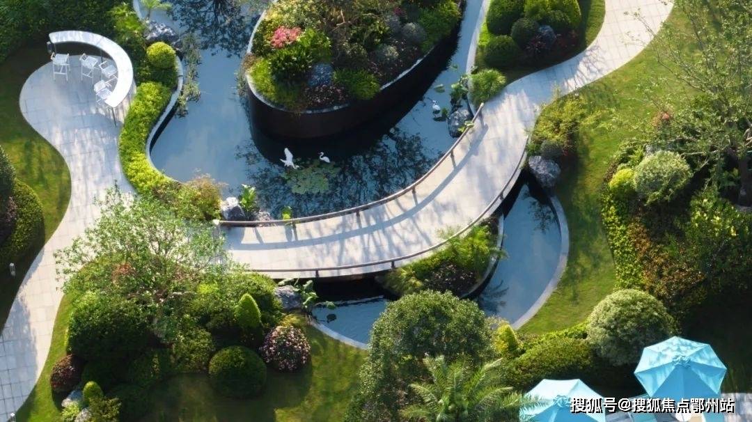 清来嘉座滨江清来嘉座首页网站清来嘉座欢迎您清来嘉座楼盘详情价格