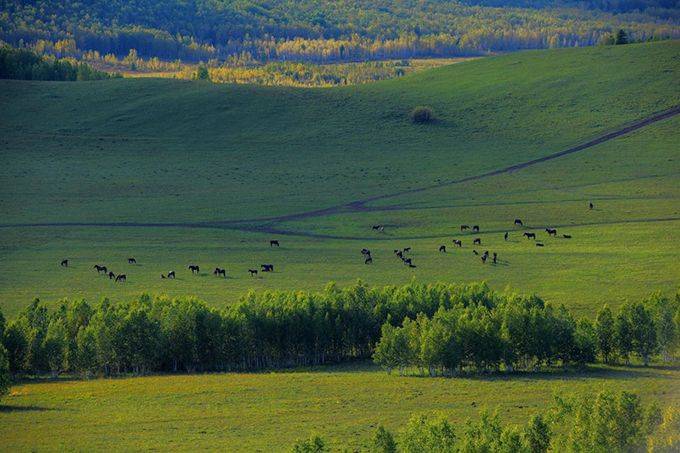 呼伦贝尔大草原旅游攻略精华景点详细路线