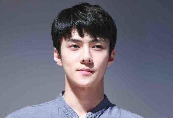 国产剧出现鹿晗与吴世勋的同人文粉丝真的接受不了